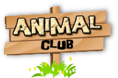 Animal Club - rede social boa para cachorro