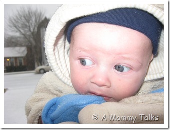Snowy Day 006 Snowy Day 006