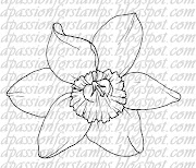 Surfinia, Candle Flower and Daffodil Flower. Daffodil Flower; £1.00 (daffodil flower wmkd)