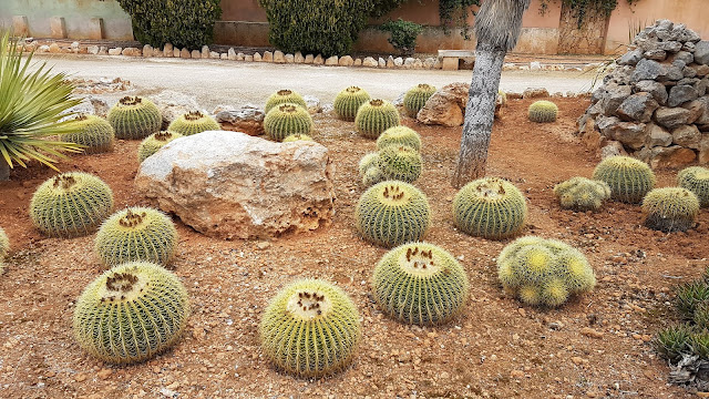 Botanicactus Botanischer Garten Mallorca