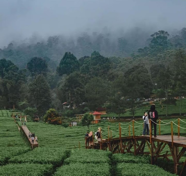 Nuansa Riung Gunung Pangalengan Bandung