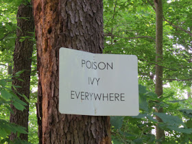 poison ivy sign