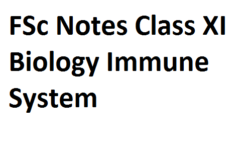 FSc Notes Class XI Biology Immune System fscnotes0