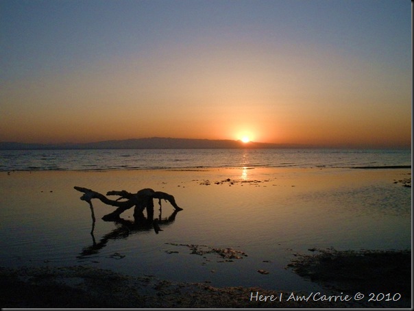 Salton Sea Calendar 2010