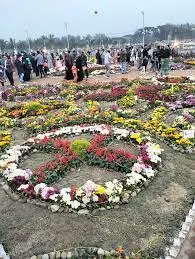 ডিসি পার্কের ছবি ডাউনলোড - চট্রগ্রাম  ডিসি পার্কের পিক - ডিসি পার্কের পিকচার - DC park photo- insightflowblog.com - Image no 10