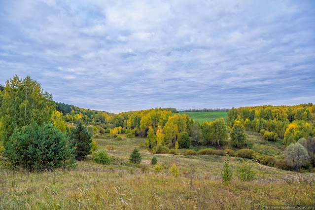 Осенний овраг