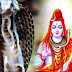 नाग पंचमी पर्व 29 जुलाई को, यह पर्व प्रकृति, जीव- जंतुओं पर्यावरणीय संतुलन और सांस्कृतिक सद्भाव का देती है संदेश: संजय सर्राफ