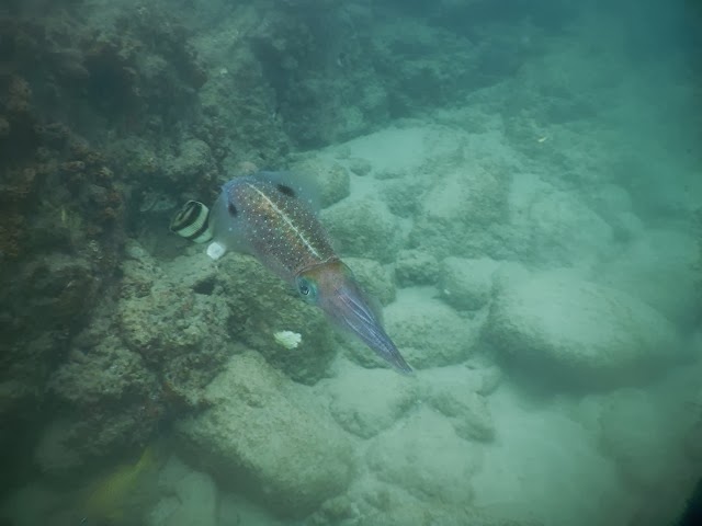 DSCN0938