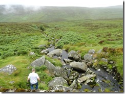 Bus Tour Wicklow Mountains