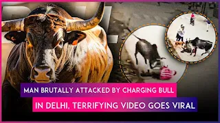Bull attacks man in Chattarpur, caught on CCTV