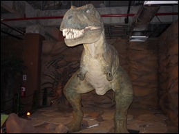 P1010157