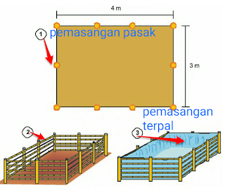 cara membuat kolam terpal untuk budidaya ikan