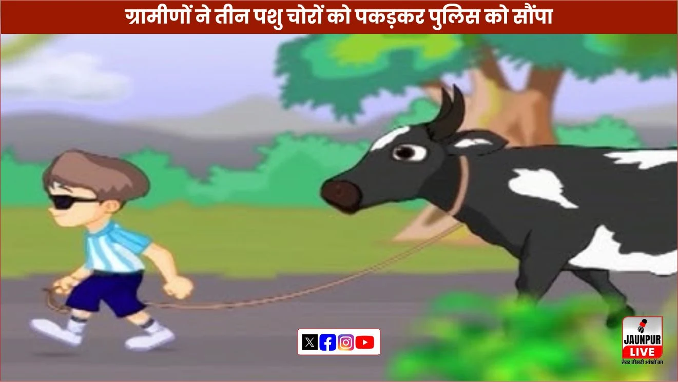 Villagers caught three cattle thieves and handed them over to the police