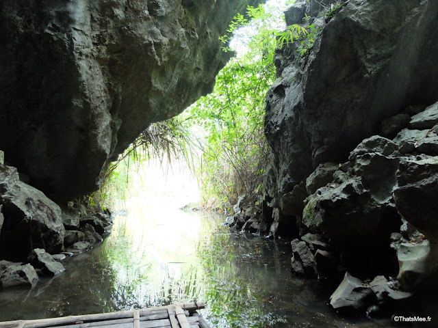 reserve van long ninh binh vietnam campagne baie halong terrestre bateau barque bambou sampan grotte riviere