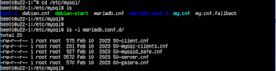 /etc/mysql/mariadb.conf.d/50-server.cnf