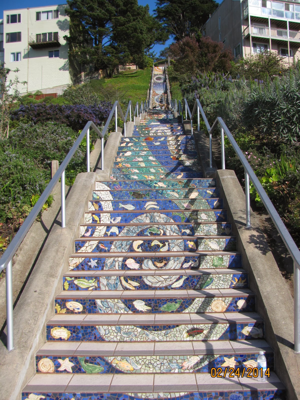 16th Street Stairs- Looking Straight Up