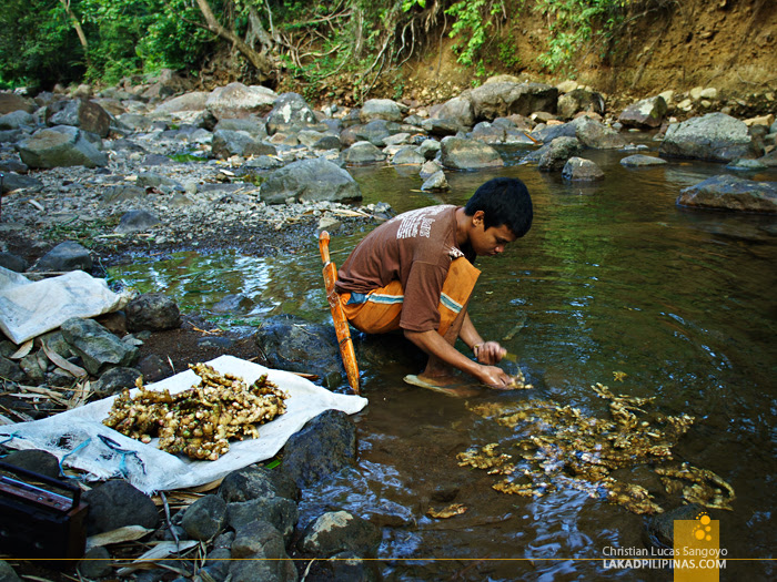 A Kid Washing Ginger at the Trail to Liktinon Falls at President Roxas, Capiz