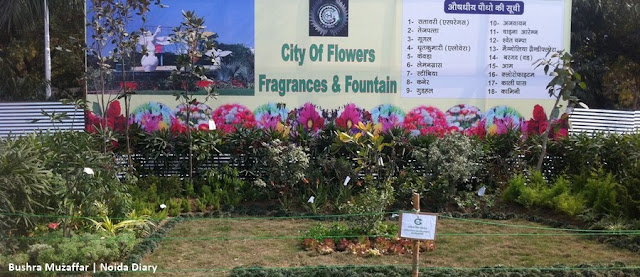 Noida Diary: Garden Display by Greater Noida Authority