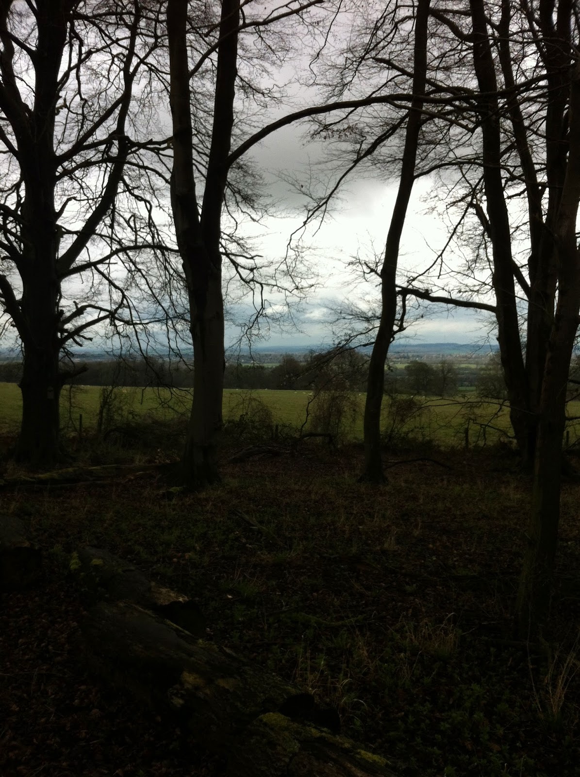 View from Wytham Woods on rainy day April 3rd 2015