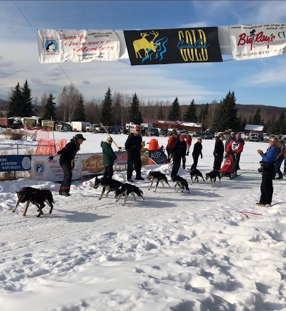 Dog sled team leaves starting line at Mushers Hall (Source: Palmia Observatory)