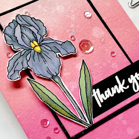 #mariawillis, #cardbomb, #heroarts, #newrelease, #newcatalog, #2019heroartscatalog, #colorlayeringiris, #thankyou, #cards, #cardmaking, #handmadecards, #craft, #papercraft, #stamp, #ink, #paper, #handmade, #diy, #create, #color, #copics, #copicmarkers,, #distressoxides, #flowers, #mixedmedia, 