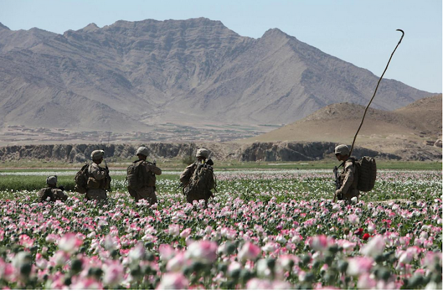 Provincia de Helmand: ¿Laboratorio de drogas a escala global?
