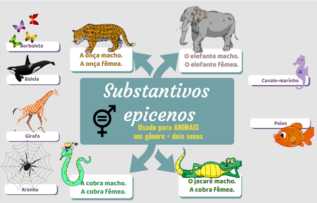 Substantivo epicenos são usados para animais cujo nome é comum para ambos os sexos. A distinção é feita pelo acréscimo da palavra macho ou fêmea.