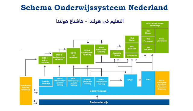 التعليم في هولندا