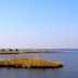 Groenonderhoud oevers Zwarte Water