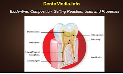 Clinical Applications/Uses of Biodentine