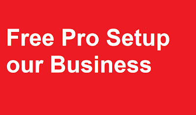 Free Pro Setup our Business