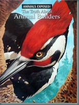 animal_builders