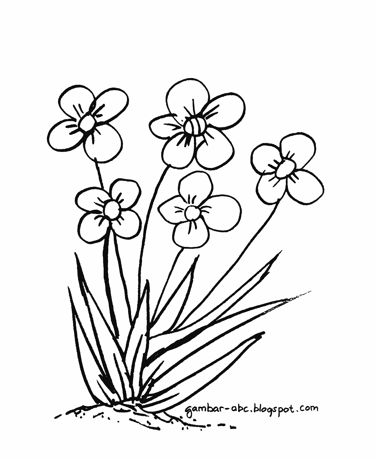 Gambar Kartun Rumput Laut Gambar Gokil