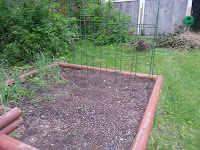 Pea trellis