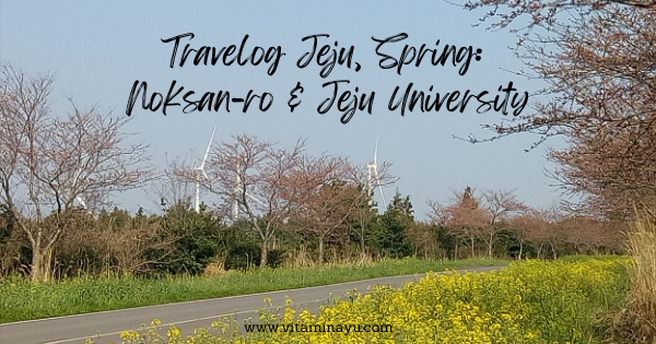 Travelog Jeju, Spring 2018: Noksan-ro Dan Jeju University (Day 4)