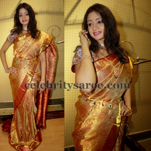 Meena Work Silk Sari