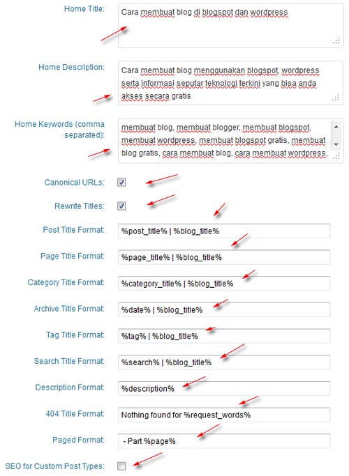 setting AIO SEO Pack