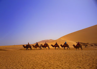 Ride a Camel in the Desert, appreciate it in your China travel tour to Dunhuang.