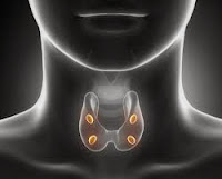 cancer de la thyroïde symptômes, cancer thyroïde symptômes, le cancer de la thyroïde, cancer de thyroïde, cancer thyroide symptome, cancer de la thyroïde causes, cancer de la thyroide symptome,