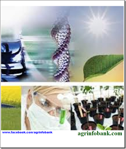 Pakistan and US agree to enhance agricultural research's scope