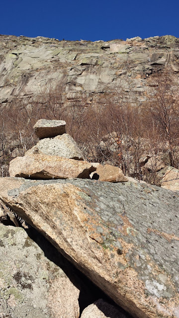 Cannon Cliffs loop bushwhack, Cannon Mountain, Franconia Notch State Park