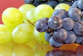 grapes-summer-fruit