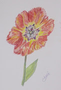 . and it reminded me of a drawing I did recently. (flower drawing)