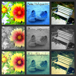 Photography