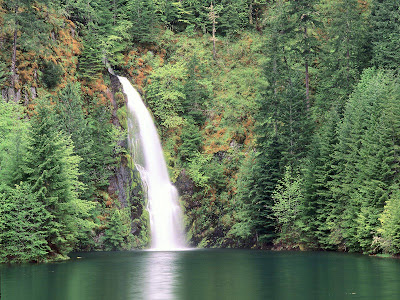 Willamette National Forest. Bwindi+impenetrable+forest