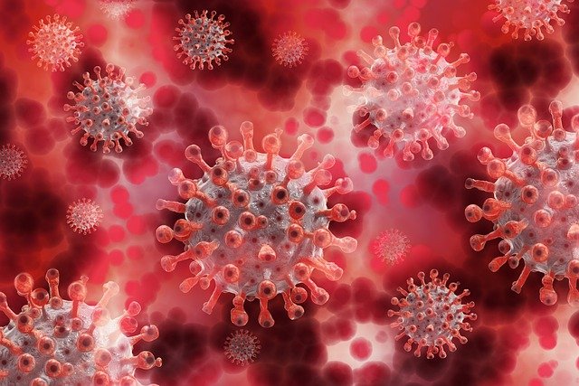 What is Corona Virus? Symptoms and Precautions