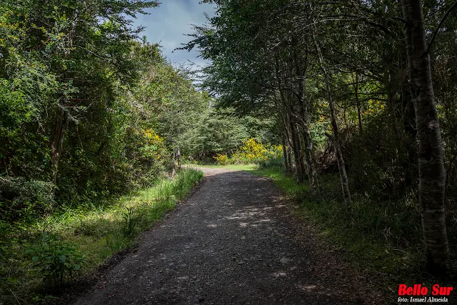 Hermosos parajes y fauna de la Isla de Mancera