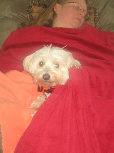 Dakota's thoughts to Kimberly-Leave me alone with that camera, I'm resting!!