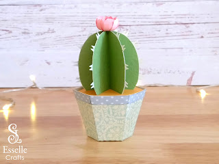 Cactus Favour Boxes by Esselle Crafts