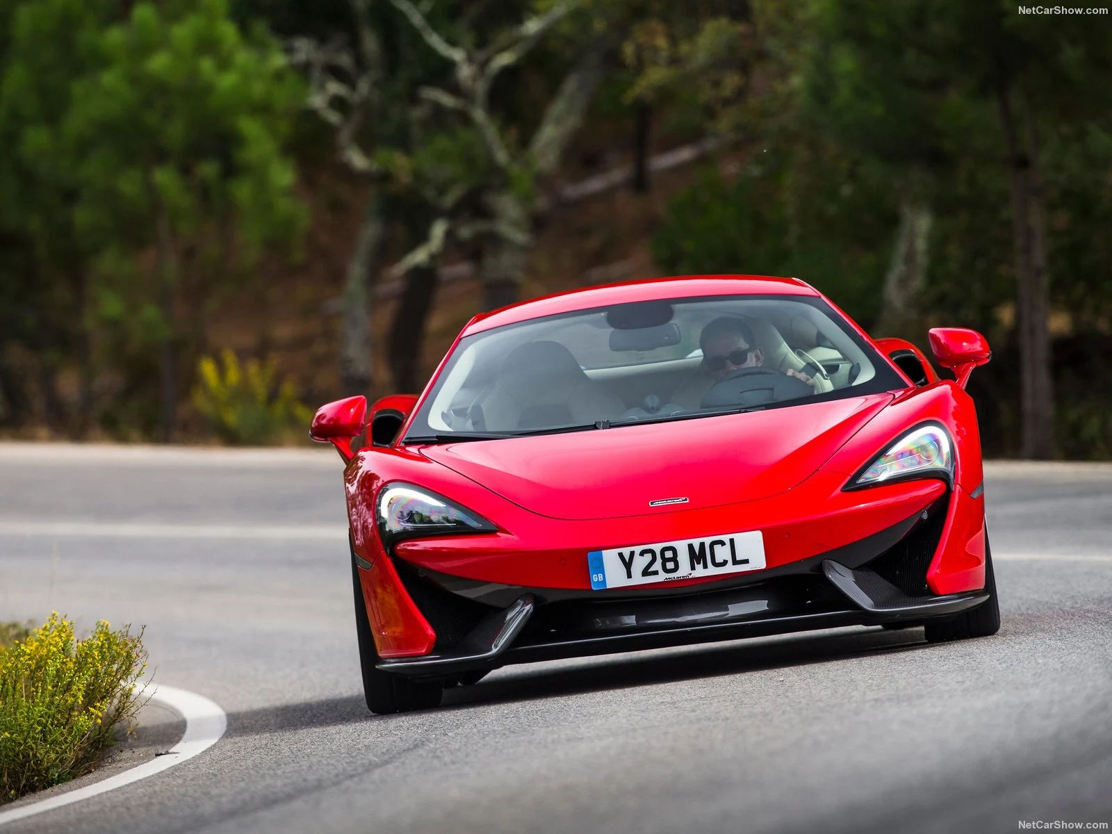 Hình ảnh siêu xe McLaren 570S Coupe 2016 & nội ngoại thất